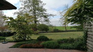 A paved patio area with a brick pattern, surrounded by lush greenery and trees.