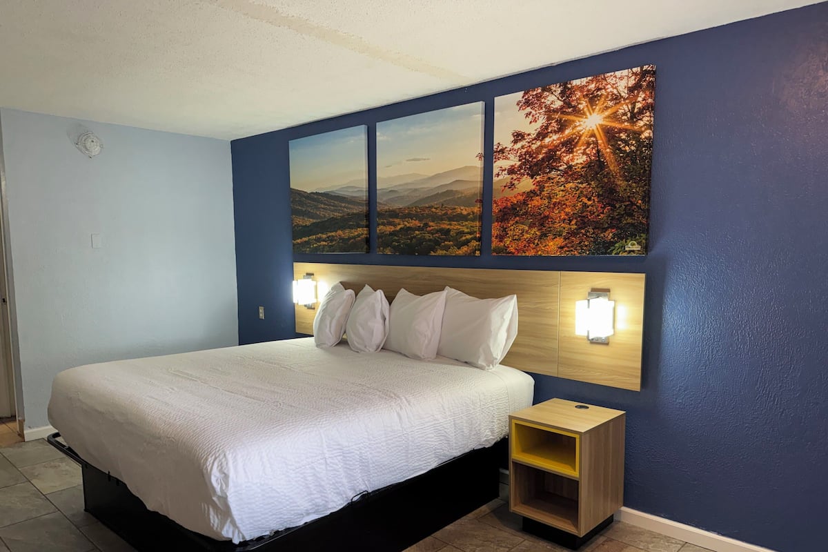 Room, 1 King Bed, Non Smoking | Blackout curtains, iron/ironing board, free WiFi, bed sheets