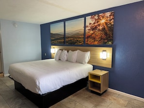 Room, 1 King Bed, Non Smoking