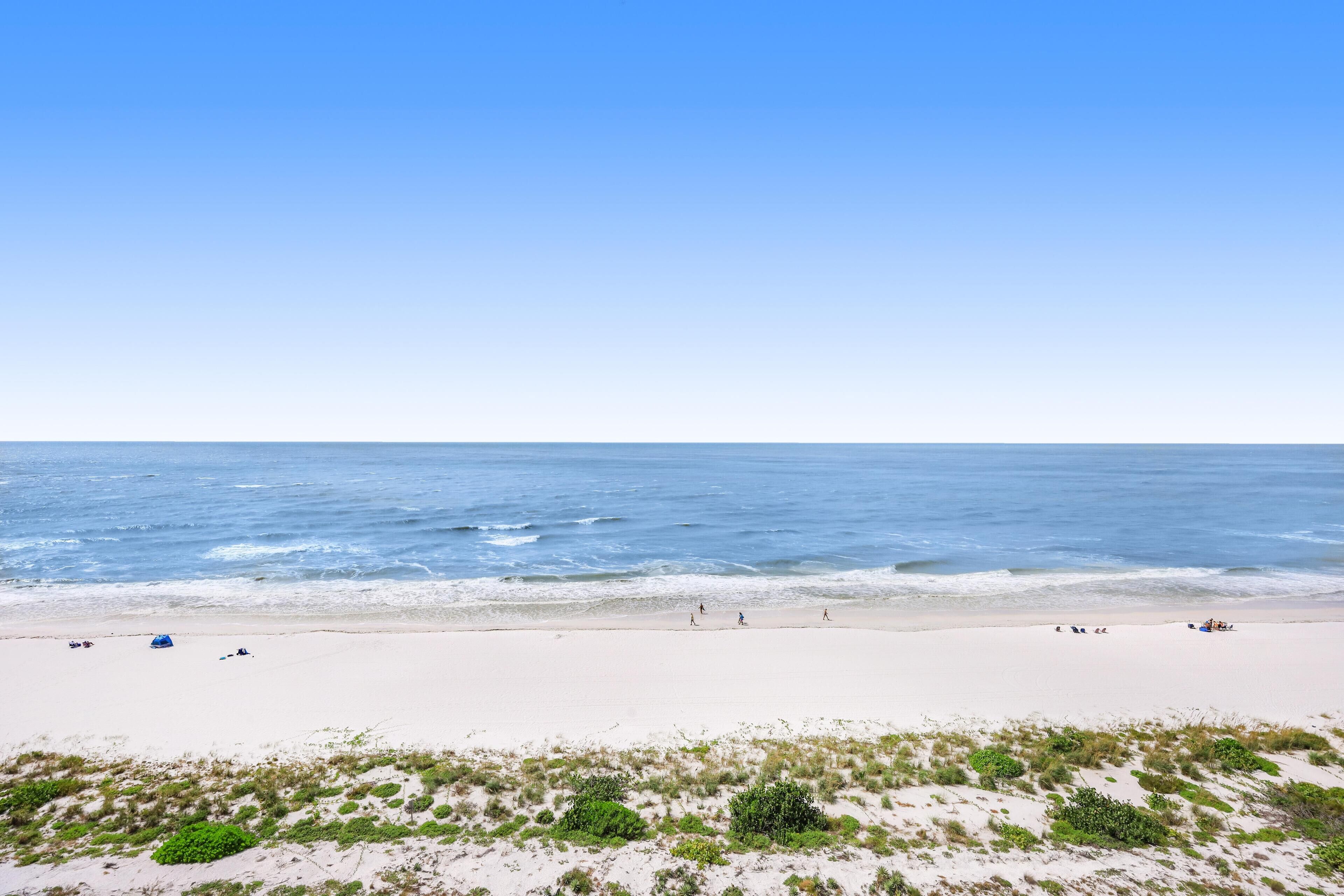 A beach with a clear sky, sandy shore, and sparse vegetation.