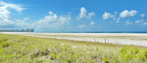 Condo, 1 cama King size y sofá cama (Tradewinds 701) | Playa