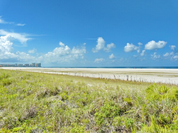 Condo, 1 King Bed with Sofa bed (Tradewinds 701) | Beach