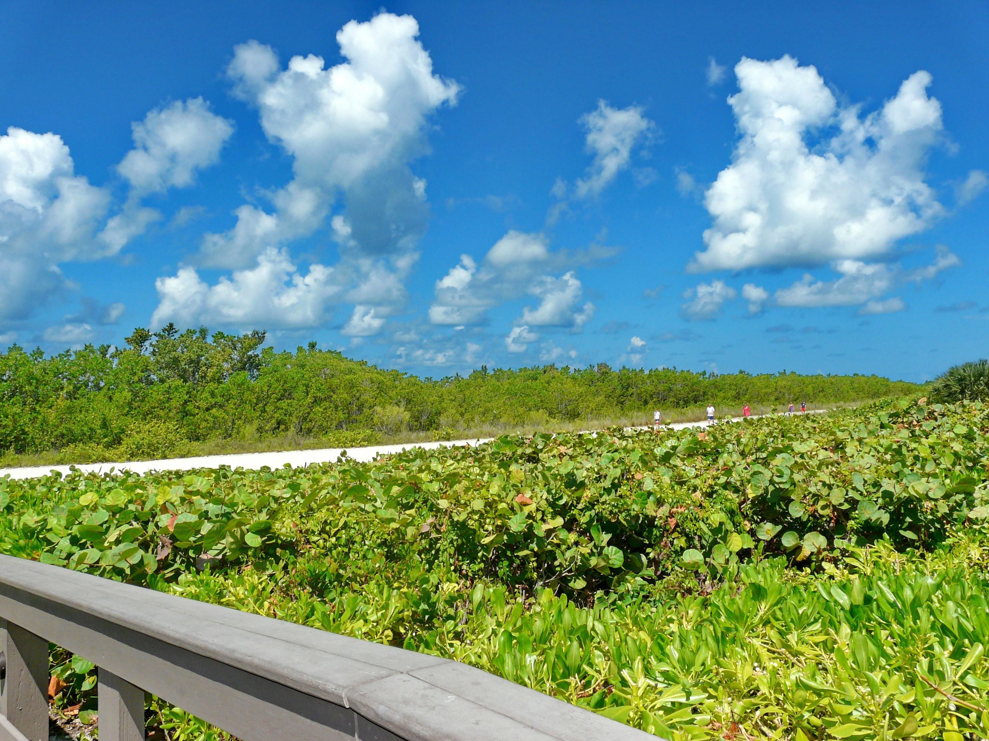 A view of a lush green landscape with a clear blue sky and scattered clouds.