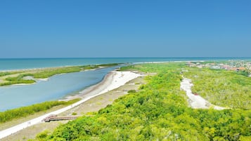 Condo, 1 giường cỡ king (Beachfront condo with pool and ocean ) | Khuôn viên nơi lưu trú