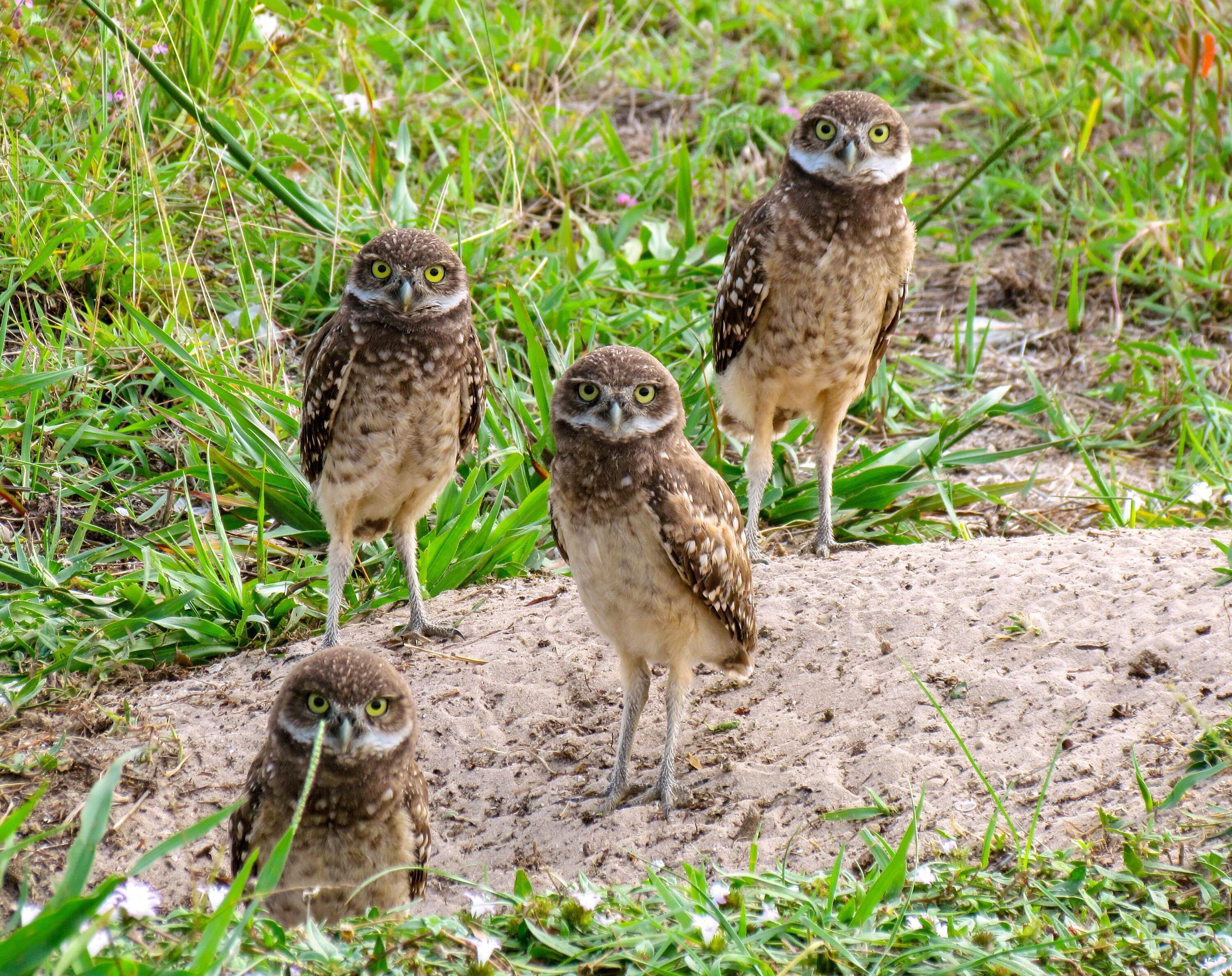 Condo, 1 King Bed (Beachfront condo with pool and ocean ) | Miscellaneous