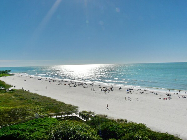 Appart'hôtel, 1 très grand lit et 1 canapé-lit (Inviting beachfront condo with pool, ) | Vue sur la plage/l’océan