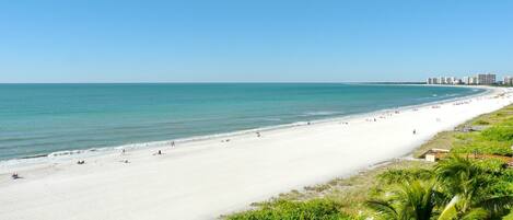 Condo, 1 King Bed with Sofa bed (Inviting beachfront condo with pool, ) | Beach