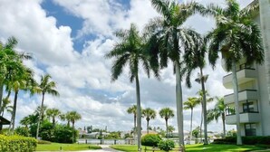 A well-maintained grassy area with palm trees and a modern building with balconies.