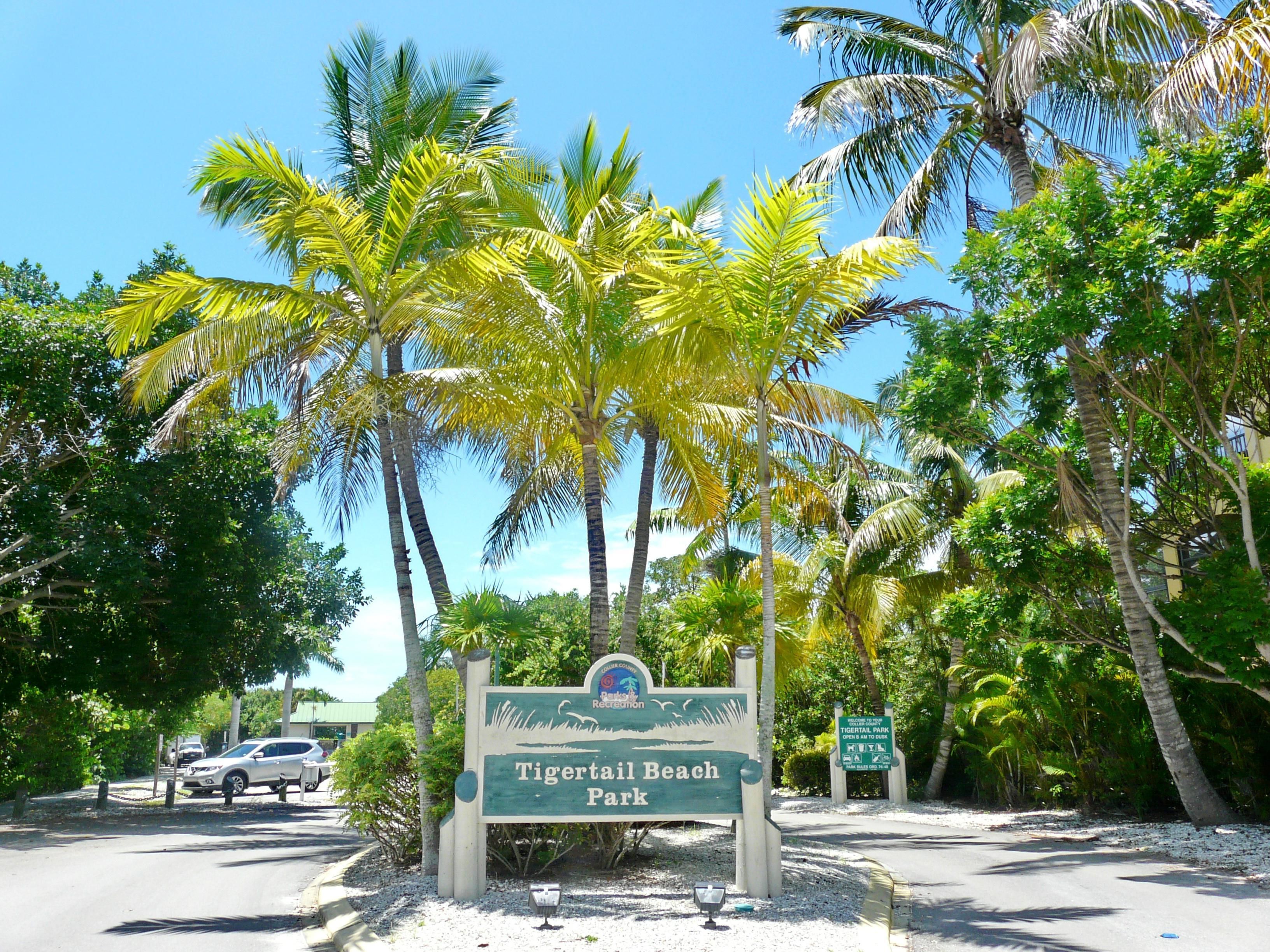 A sign for Tigertail Beach Park with a clear view of the surrounding palm trees and a parking area.