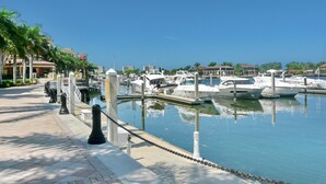 A marina with boats docked, a paved walkway, and palm trees.