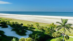 A coastal landscape with a beach, palm trees, and a well-maintained garden area.