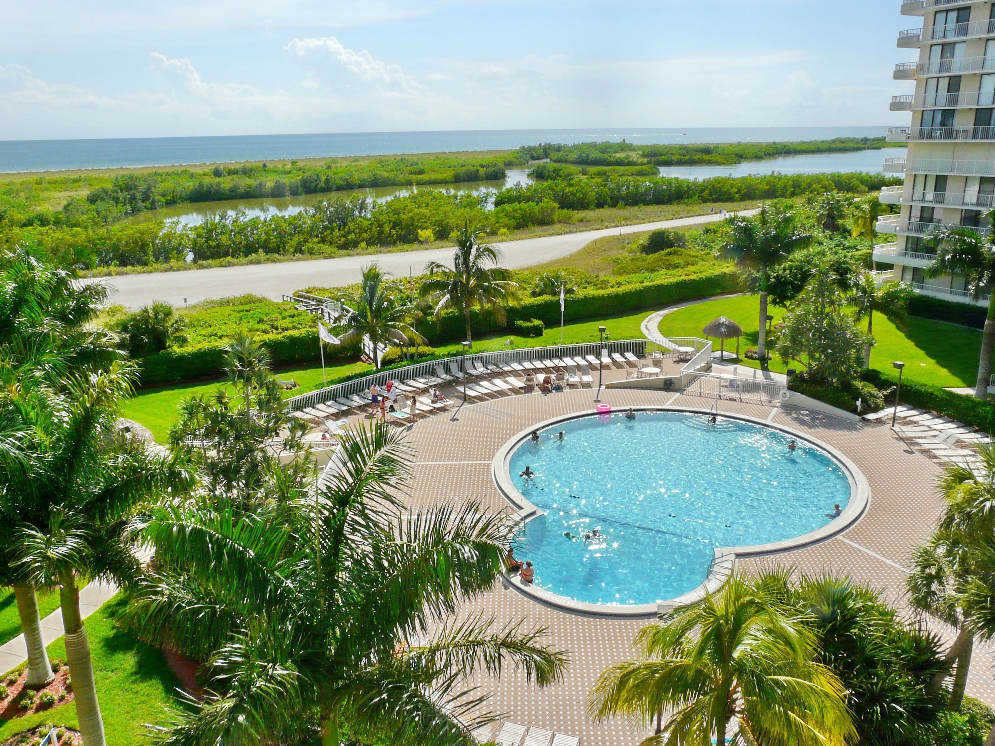 A circular pool with lounge chairs and palm trees, surrounded by greenery and a view of the ocean.