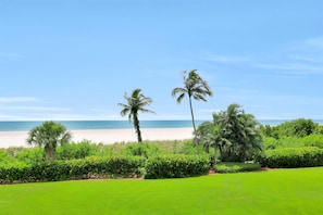 コンドミニアム ベッド (複数台) (Cozy beachfront condo with pool and t) | 施設の敷地