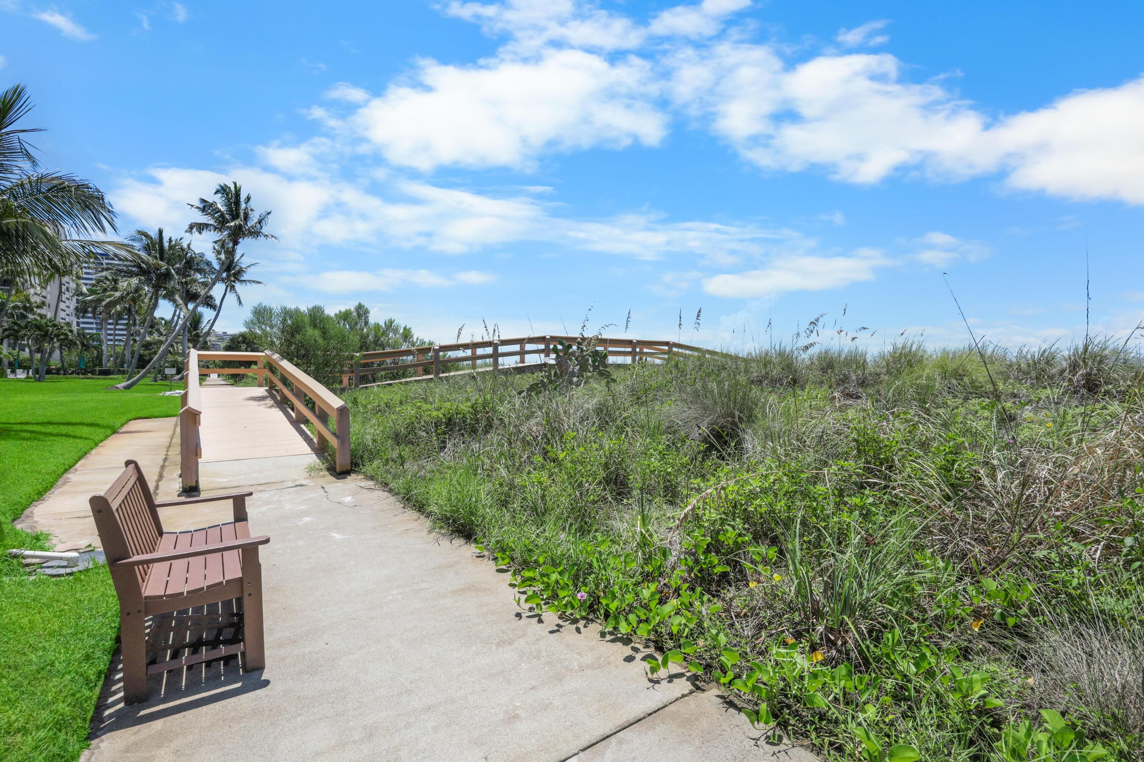 A concrete pathway leading to a wooden bridge over a grassy area with palm trees and wildflowers.