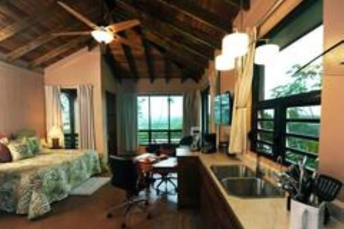 A room with a bed, desk, and large windows.