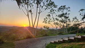 Un sendero de grava que lleva a una escalera rodeada de follaje y árboles, con un atardecer al fondo.