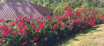 Villa Cayo - Adults Only