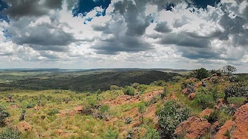 Land view from property