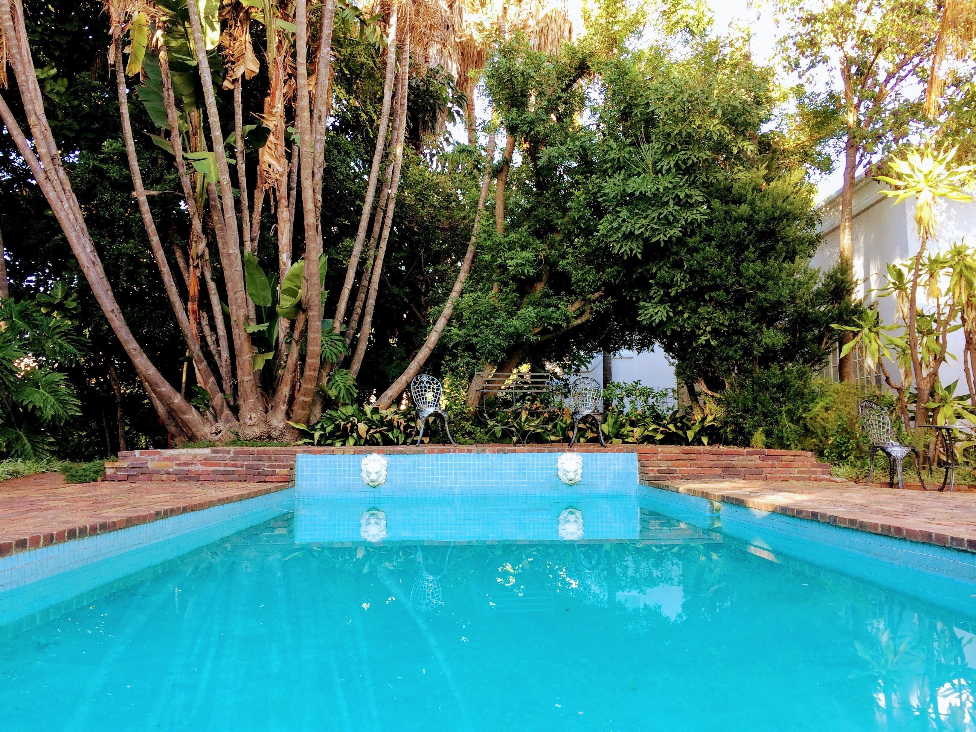 A swimming pool with a tiled edge, surrounded by trees and plants.