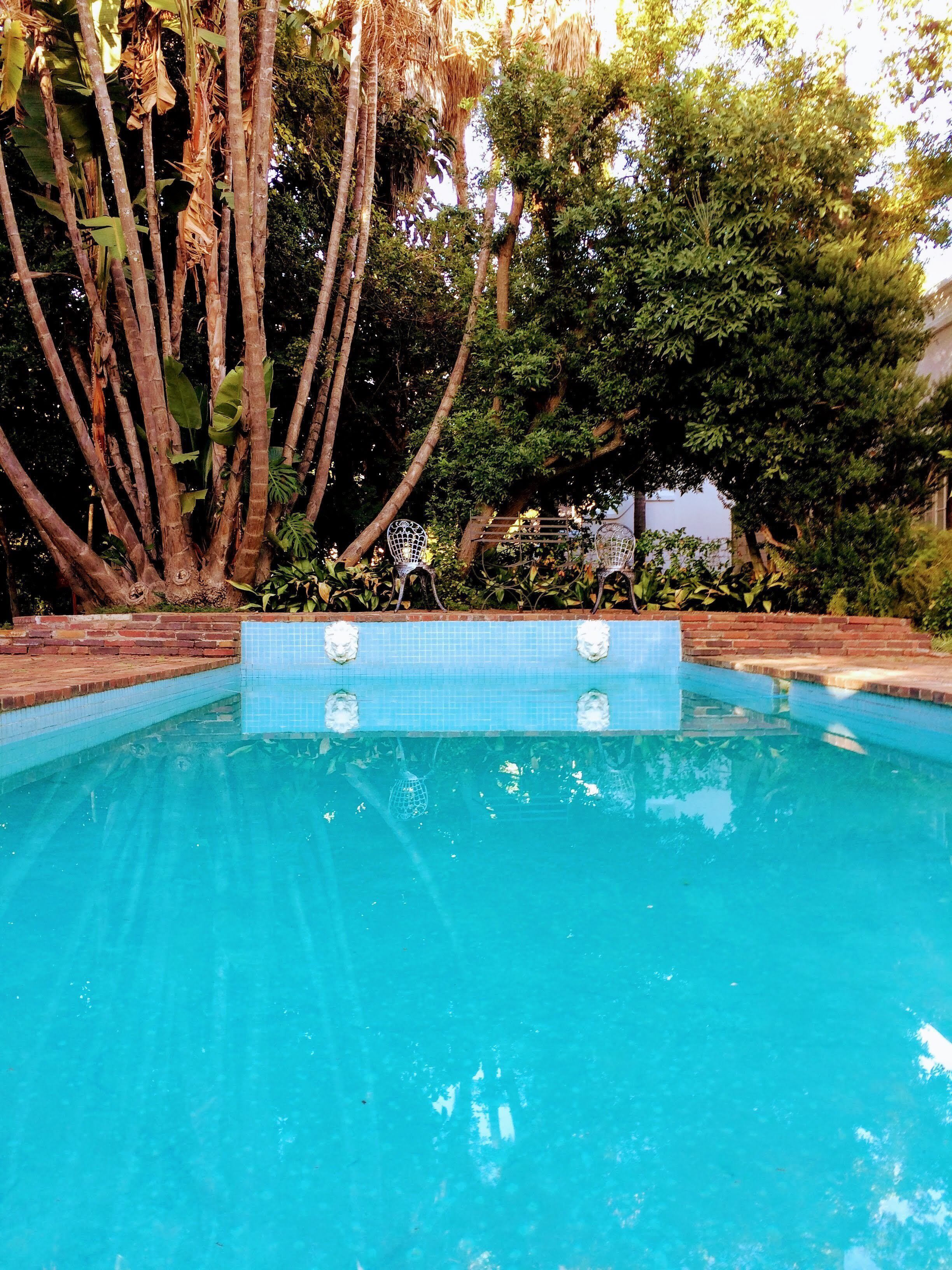 A swimming pool with a tiled edge, surrounded by trees and plants.