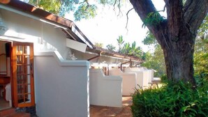 A modern building with a white exterior, a brick pathway, and a large tree in the foreground. - Polokwane Place (Polokwane)