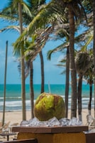En la playa, toallas de playa, bar en la playa