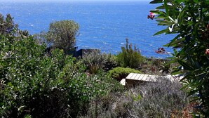 A coastal landscape with a view of the sea, dense greenery, and a small building with a sloped roof. - Watercolours Studios (Cape Town)