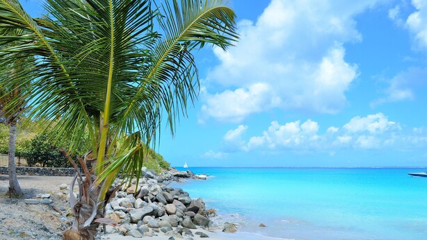 Ranta, jossa on palmu, kirkas sininen vesi ja kauempana näkyvä purjevene.