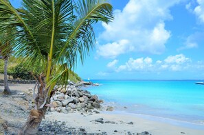 A beach with a palm tree, clear blue water, and a sailboat in the distance. - Adonis Cupecoy (Lowlands)