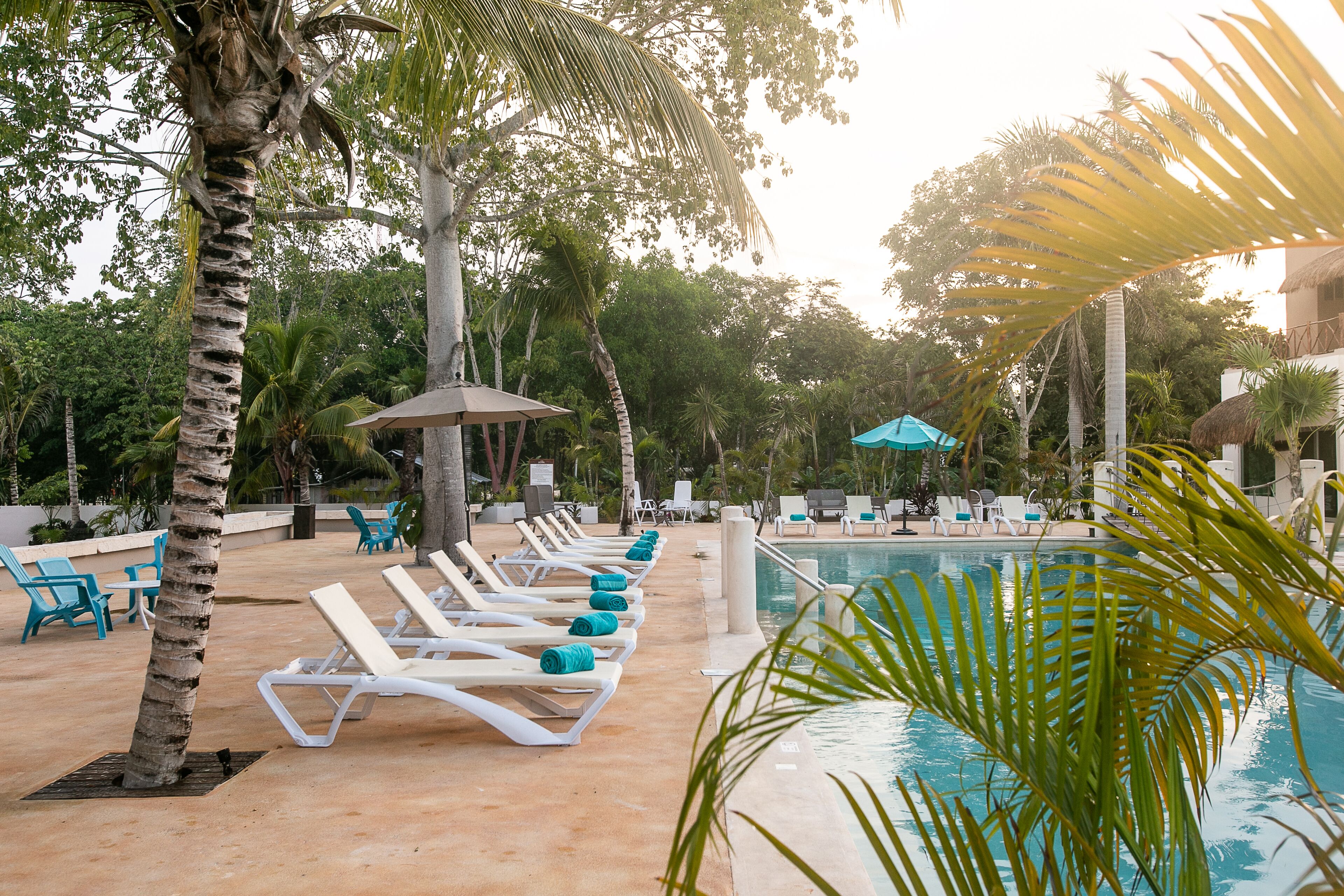 Zona junto a la piscina con sillones de descanso y sombrillas, rodeada de palmeras y una piscina cristalina.