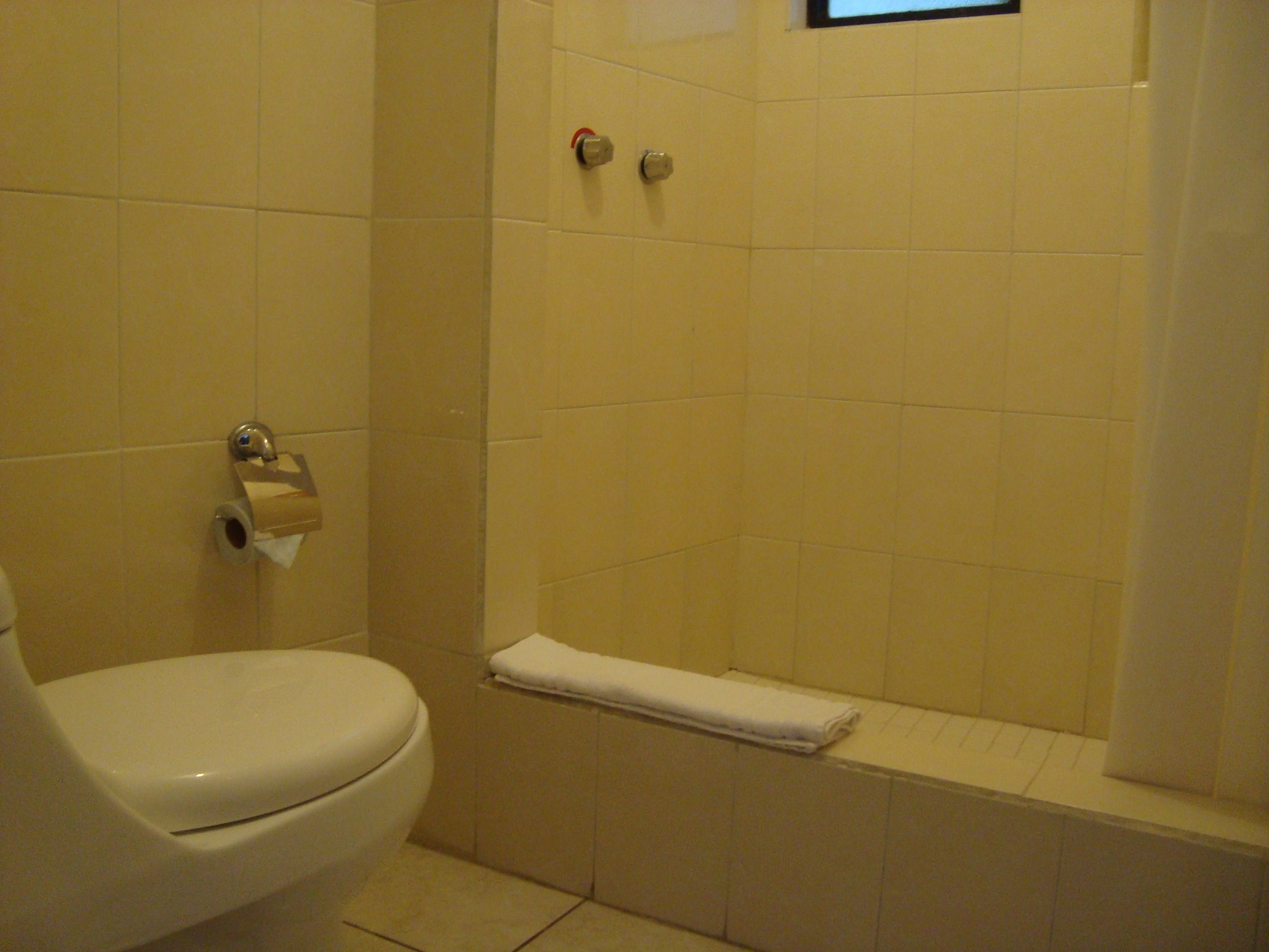 A bathroom with a toilet, a towel rack, and a shower area.