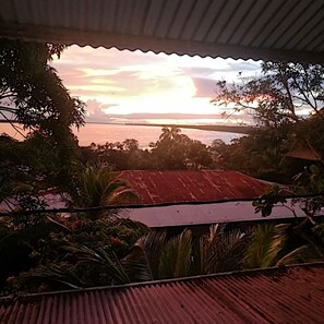Vista desde la habitación