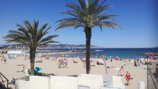 A beach with palm trees, people sunbathing, and a clear blue sky.