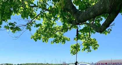 Harbor View Landing