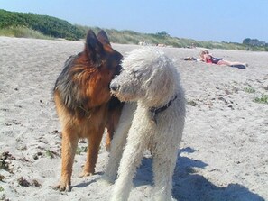 In Strandnähe