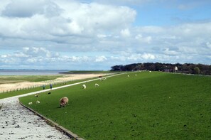 Unclassified image, 3 of 16, button