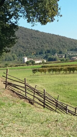 Property grounds - B&B Cascina San Martino (Passirano)