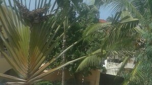 Ảnh chưa phân loại, 3 trong số 92 ảnh, n út