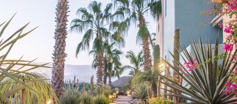 Casa del Gallo-Home in Loreto bay- Baja reimagined! steps from Community Pool