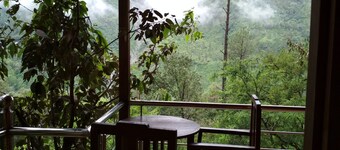 Tree House on Oak Tree at Silent Valley Alchauna Along River Kalsa