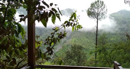 Tree House on Oak Tree at Silent Valley Alchauna Along River Kalsa