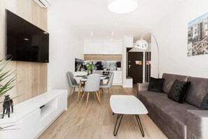 Fernseher, Arbeitsbereiche