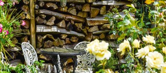 Ferienhaus in der Charente mit Pool