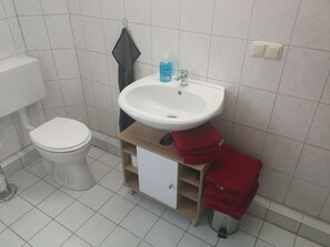 Combined shower/tub, hair dryer, towels