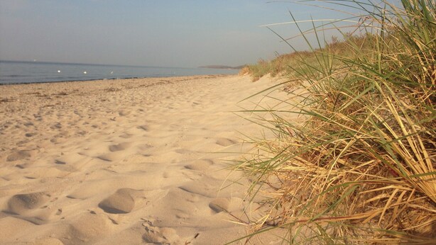 A sandy beach with sparse vegetation and a clear sky.