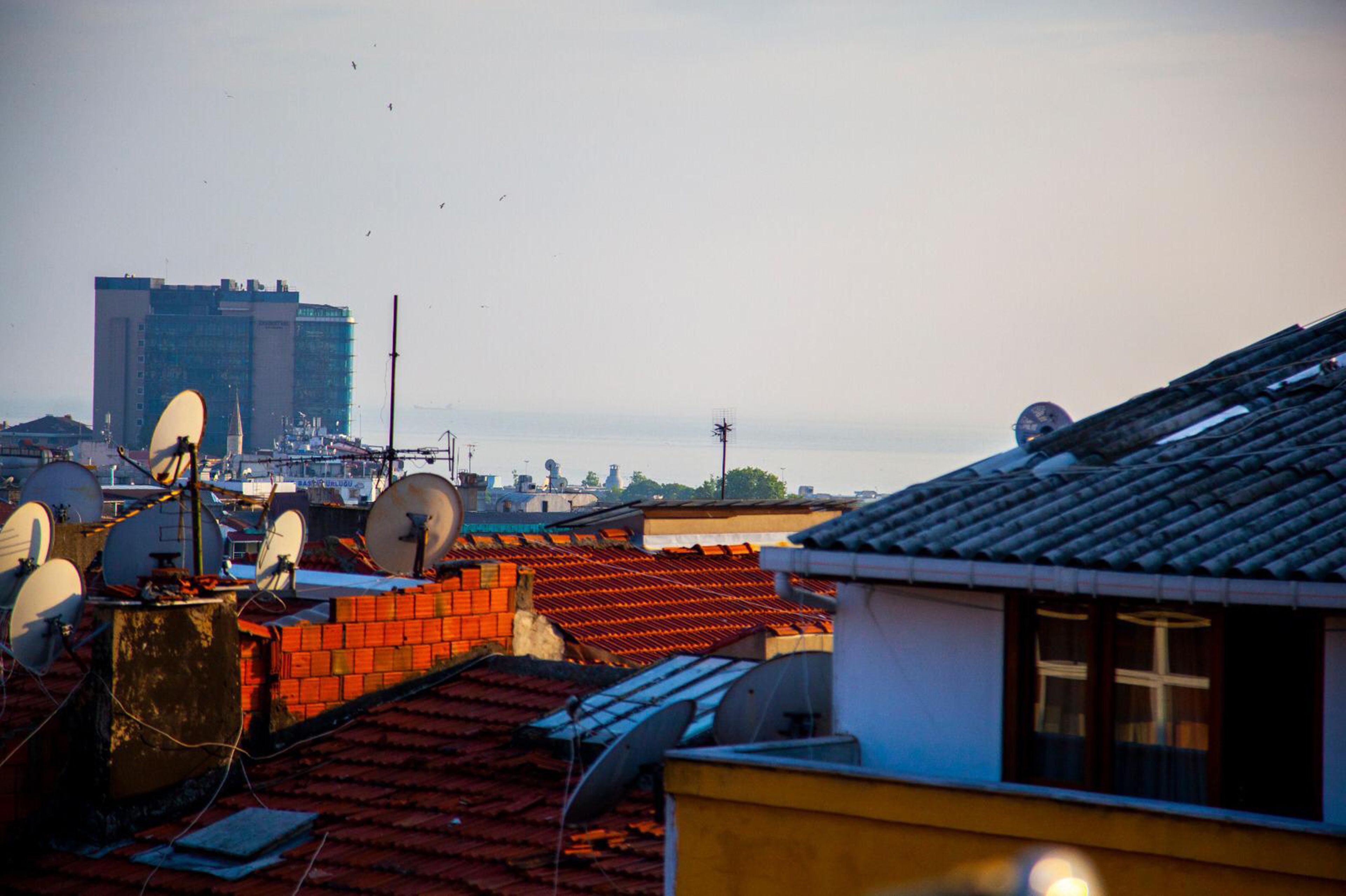 View from room
