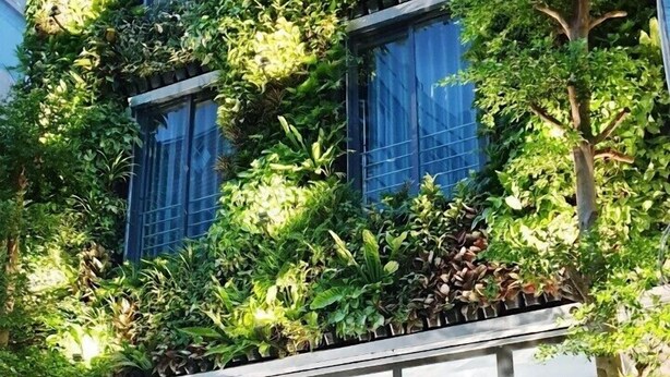 A modern building with a glass facade, a motorcycle parked in front, and lush greenery growing on the exterior walls. - Tripporo - Homestay (Ho Chi Minh City)