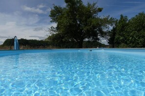 Una piscina azul cristalina con un gran árbol al fondo.