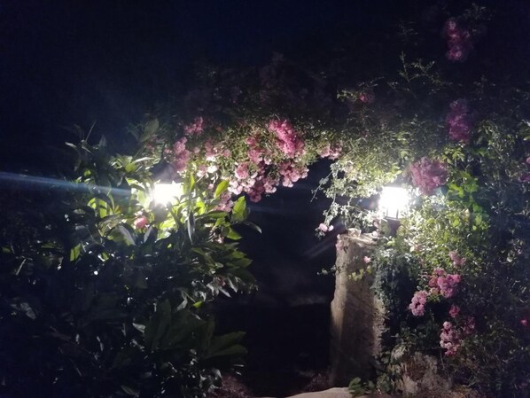 Un arco iluminado con flores rosadas y follaje por la noche.