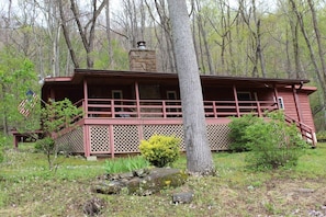 Exterior - Eagles Nest Cottage- Pet Friendly with amazing views (Maggie Valley)